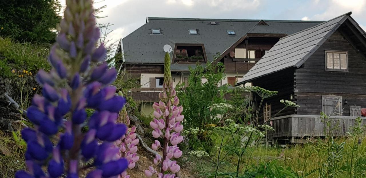 Katschberghoehe 21 Zewnętrze zdjęcie